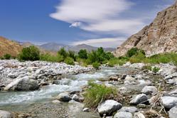 Wildlands Conservancy Makes Preservation a Matter of Taste