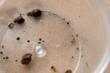 Bed Bugs Invade Senior Housing Complex, My Cleaning Products Offers...