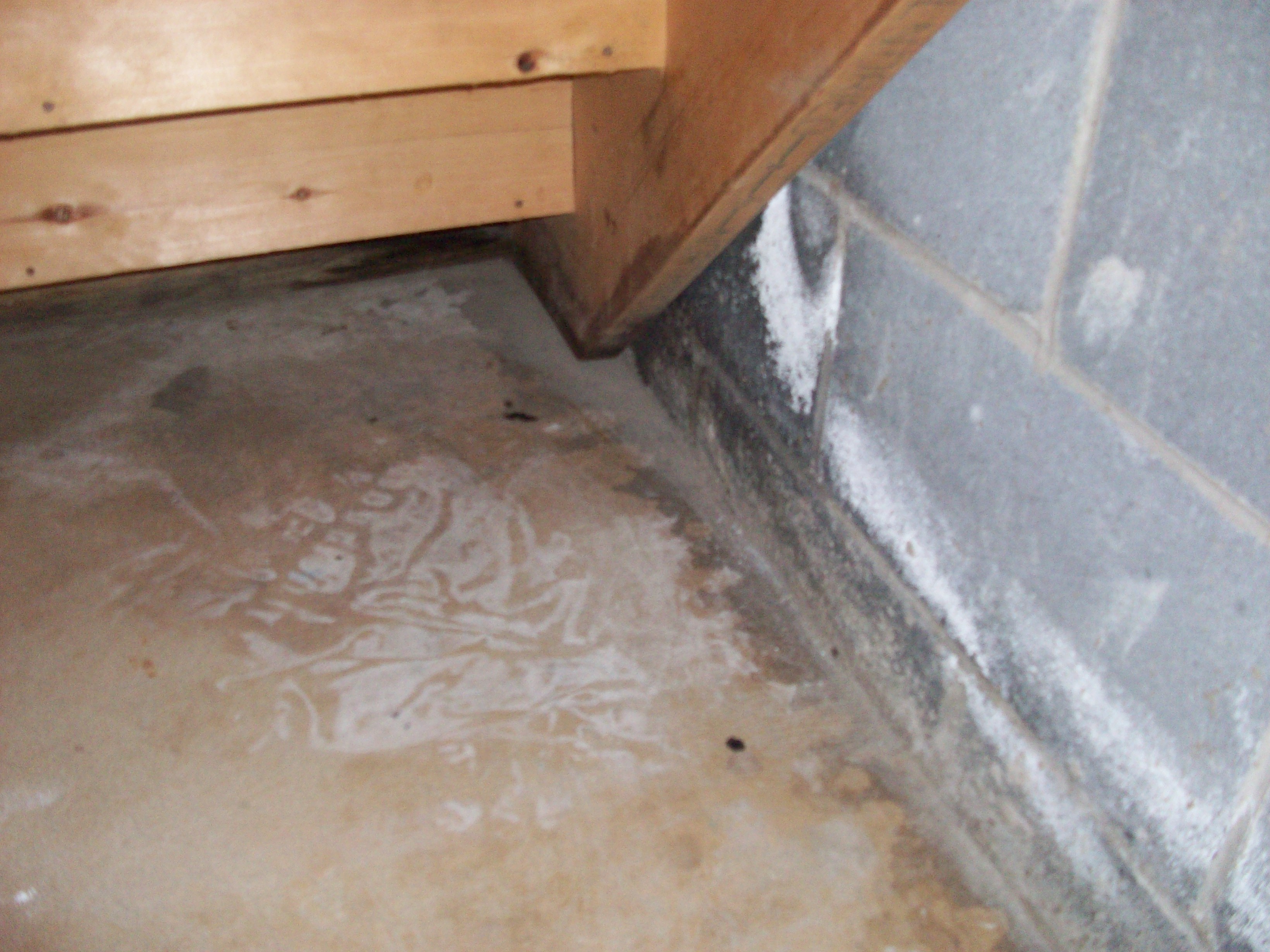 Homebuyers Beware 9 Signs of Basement Water Leakage from ...