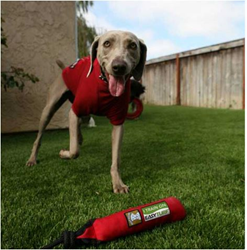 synthetic turf,artificial turf,artificial grass,landscape products,landscaping,landscape surfaces,recreational surfaces,putting greens,landscape surfaces,pet-friendly synthetic grass