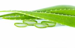 aloe vera products