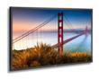 TouchSystems Introduces New 55-Inch Display with Multi-Touch