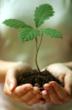 What Do Big Data and Advanced Analytics Technology Have to Do with...