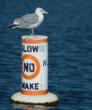 DMG Productions Informs on Safe Boating and Marine Conservation
