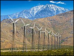 Palm Springs 75th Birthday Celebration