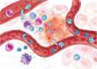 Natural Sciences Repository Publishes New Information on Inflammatory...