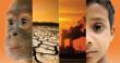 On this Earth Day, JOURNEYS International Highlights Four Destinations...