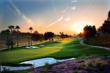 Palm Desert Homes Bask in Shoopy Scramble Spotlight by Brad Schmett