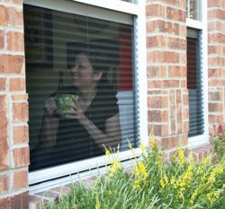 Retractable Screens for Windows