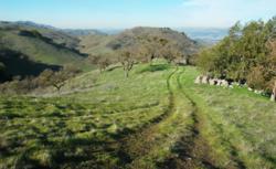 Coyote Valley Open Space Preserve