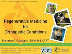 Regenerative Medicine to Treat Injured Dogs