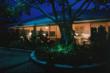 New Dating Service for Lonely Fireflies & Lighting Bugs