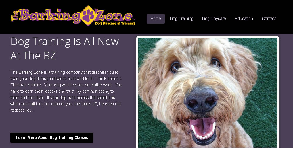 Professional Dog Trainer, Ty Brown, Comes to The Barking Zone in ...