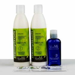 RemySoft's 3 Step System