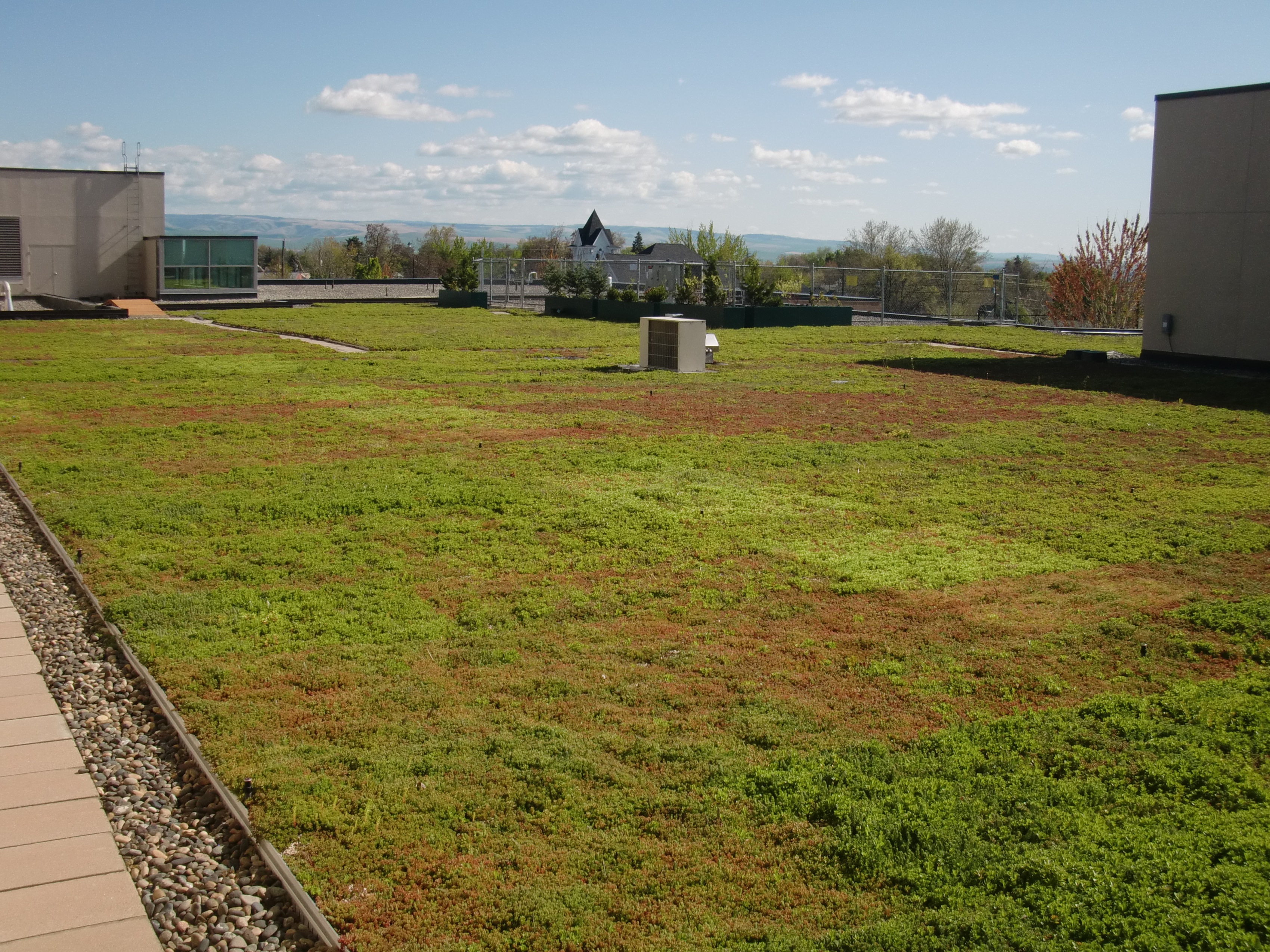 Green roof