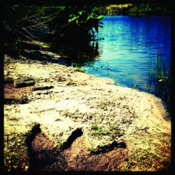 Winky Studmire's Snapshot of Dinosaur Tracks