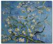 CanvasPaintings.com Now Offering 40 Different van Gogh Reproductions...