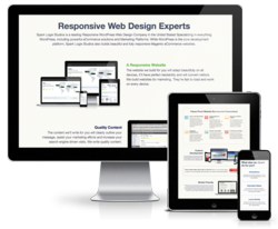 Responsive Web Design Experts