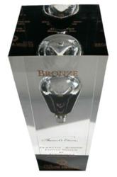 Bronze Edison Award Image
