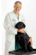 Sarcoma Alliance: Dogs Help Fight Cancer in Humans