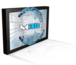 e industry-leading provider of autostereoscopic, “glasses-free” 3D displays and digital signage solutions