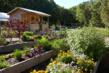 The Lodge at Woodloch is Sowing the Seeds of Love