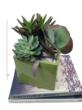 King Florist of Austin Unveils the 2013 “Urban Garden” Collection,...