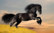 Vet Supply Source Offers Customers 25% Off and Complimentary Shipping...