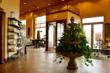 Above all Grand Salon and Spa in Wexford, PA Now Offers SkinPhD,...