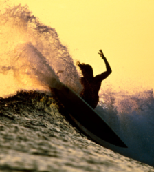 surfer