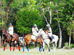 The 7th Polo Tournament Copa Del Rey