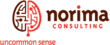 Management and IT Consulting Firm Norima Consulting Opens New...