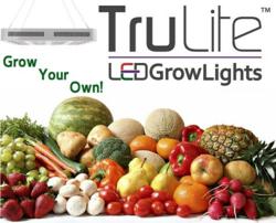 LED grow lights