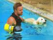 Golden Meadows Retrievers’ Dogs Proudly Included in Seth Casteel’s...