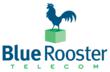 Blue Rooster Telecom Hires Two New Employees