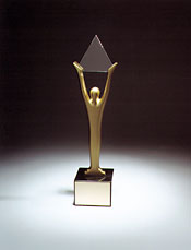 The Stevie Award