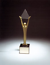 The Stevie Award