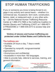 Human Trafficking Poster