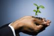 David Moulson Provides Tips on How to Get the Right Amount of Life...