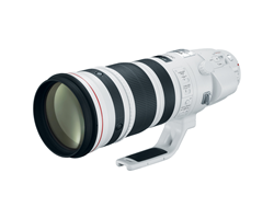 Canon EF 200-400mm f/4L IS USM Lens
