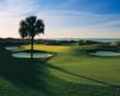 Additional Live Continuing Medical Education (CME) Conference Has Been...
