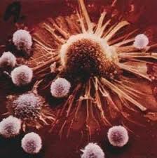 Actos: serious adverse events