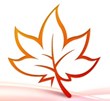 MindMaple for iPad and iPhone Release iOS 7 Patch