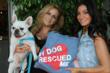 Hollywood Stars and Their Dogs Come Out to Support Steps4Paws at Fred...
