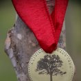 This project of national significance will plant or dedicate a tree to each of the 620,000 soldiers that died during the American Civil War.