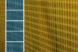 Cancer Testing Nears 5 Billion Dollars, Driven by Demand for...