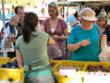 Bass Lake Farmer's Market to Start Sixth Season May 22