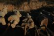 Archival Magazine Promotes
the Udarnik’s Opening, May 17th