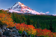 American Cruise Lines Announces 2014 Fall Cruise Collection