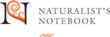 Raw Apple Blossom Honey at Naturalist's Notebook